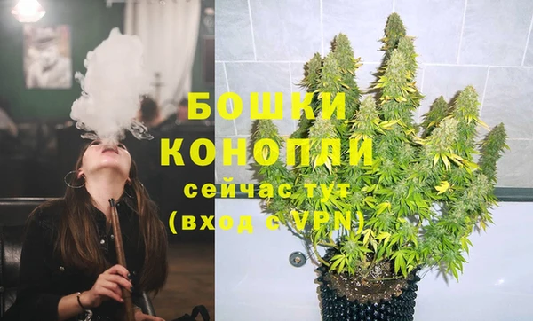 ГАЛЛЮЦИНОГЕННЫЕ ГРИБЫ Надым