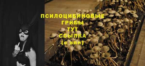 ГАЛЛЮЦИНОГЕННЫЕ ГРИБЫ Надым