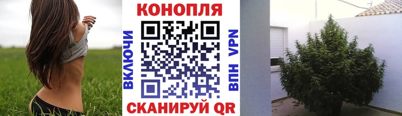 МАРИХУАНА семена KRAKEN маркетплейс Карабаш закладка